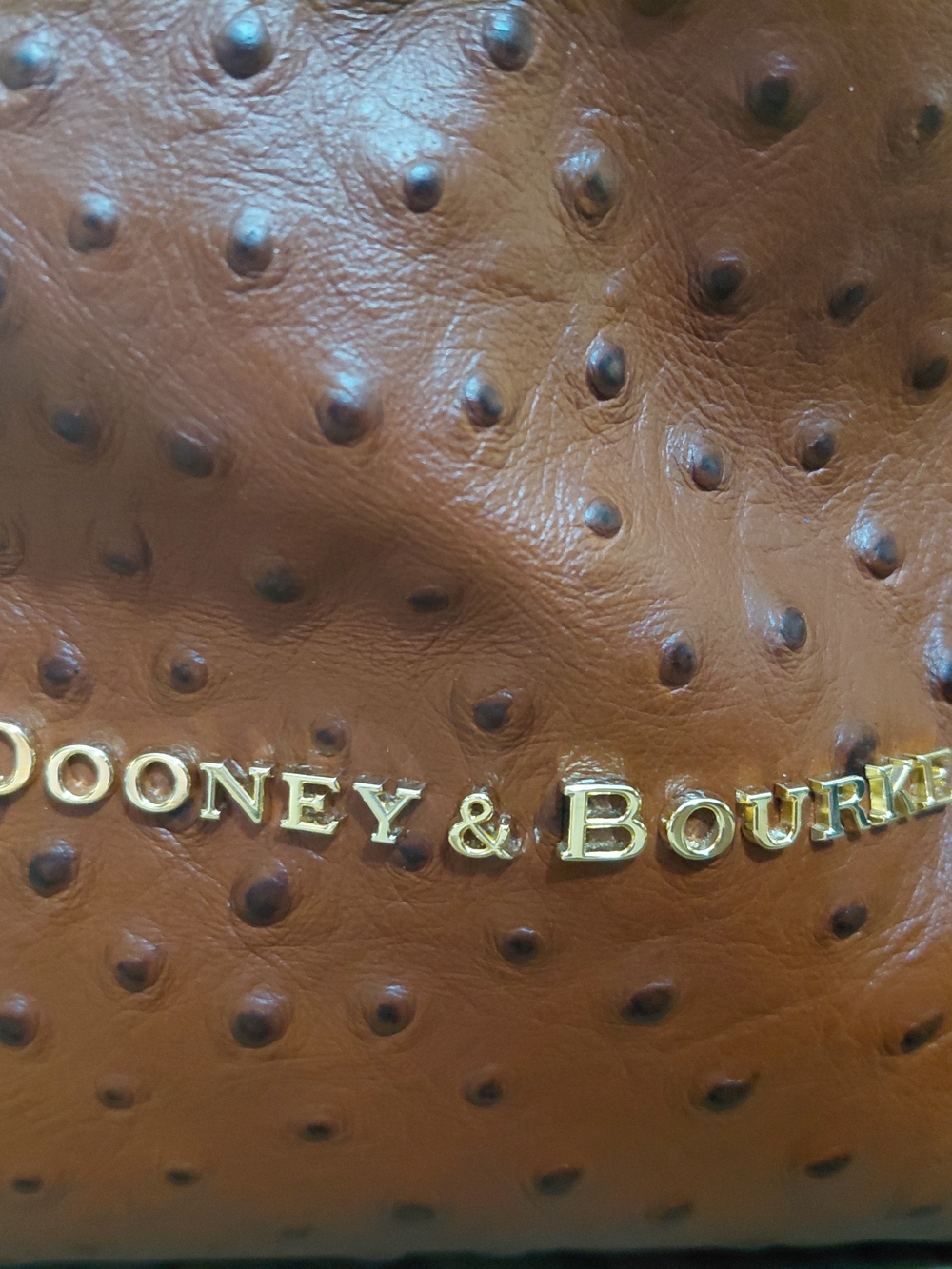 Dooney & Bourke Chestnut Brown Textured Leather Shoulder Bag - Picture 2 of 4